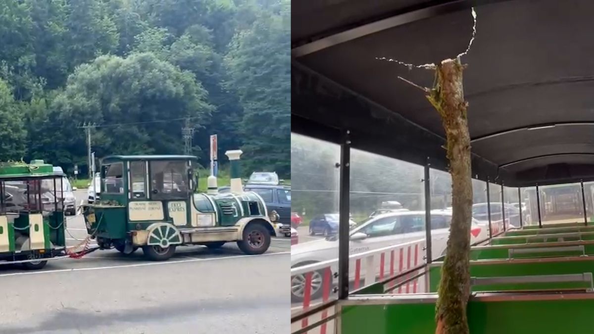 Na vláček v Moravském krasu spadl strom, zranil jednu ženu